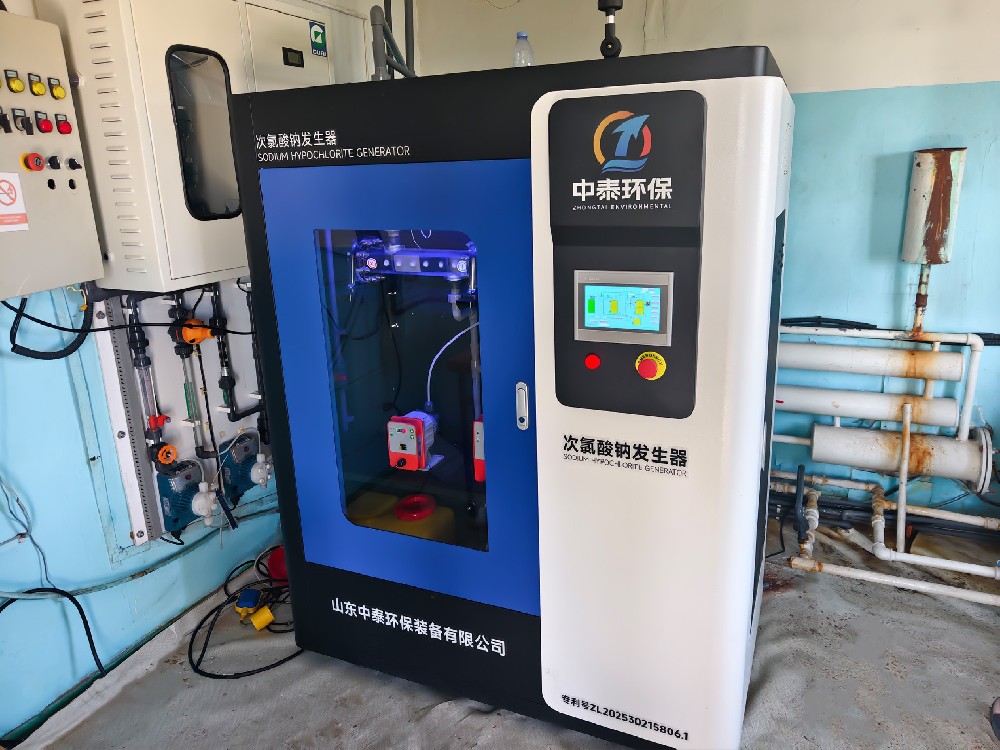 2026年7月30日 蒙古饮用水消毒 100g智能型次氯酸钠发生器